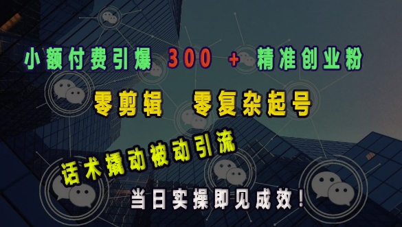 小额付费引爆 300 + 精准创业粉，零剪辑、零复杂起号，话术撬动被动引流，当日实操即见成效辉睿网创|辉睿学习|辉睿创业|辉睿电商运营|辉睿小红书|辉睿网赚辉睿网创