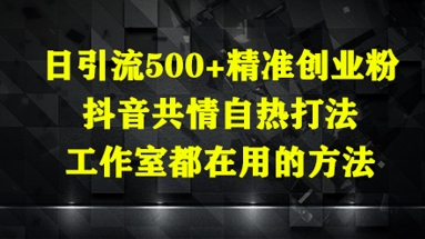 日引流500+精准创业粉，抖音共情自热打法，工作室都在用的方法辉睿网创|辉睿学习|辉睿创业|辉睿电商运营|辉睿小红书|辉睿网赚辉睿网创