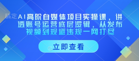 AI高阶自媒体项目实操课，讲透账号运营底层逻辑，从发布视频到规避违规一网打尽辉睿网创|辉睿学习|辉睿创业|辉睿电商运营|辉睿小红书|辉睿网赚辉睿网创