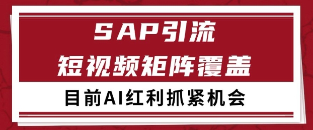 小红书某音sap赛道引流获客 自热矩阵日引200+【揭秘】辉睿网创|辉睿学习|辉睿创业|辉睿电商运营|辉睿小红书|辉睿网赚辉睿网创