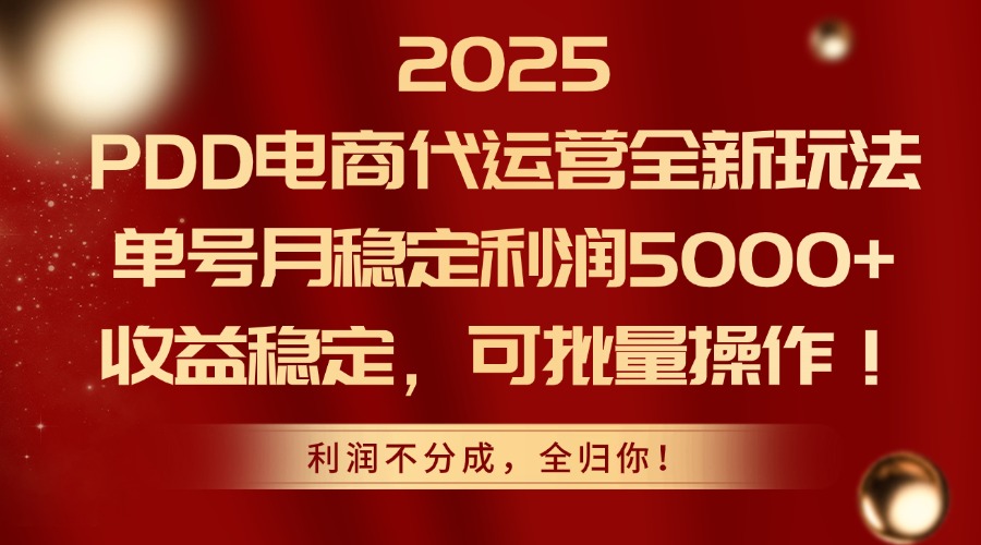 （14839期）2025PDD电商代运营全新玩法，单号月稳定利润5000+，收益稳定，可批量操作辉睿网创|辉睿学习|辉睿创业|辉睿电商运营|辉睿小红书|辉睿网赚辉睿网创