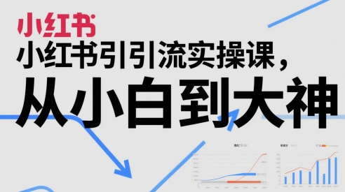 小红书引流实操课，从小白到大神辉睿网创|辉睿学习|辉睿创业|辉睿电商运营|辉睿小红书|辉睿网赚辉睿网创