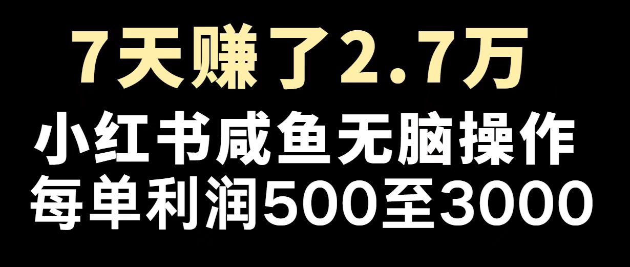 （14183期）最赚钱项目之一，2025爆火，逆风翻盘！辉睿网创|辉睿学习|辉睿创业|辉睿电商运营|辉睿小红书|辉睿网赚辉睿网创