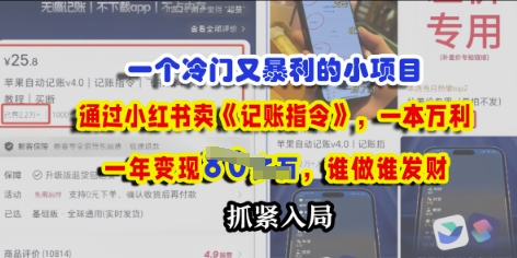 一个冷门需求，通过小红书卖《记账指令》，一本万利，谁做谁发，抓紧入局辉睿网创|辉睿学习|辉睿创业|辉睿电商运营|辉睿小红书|辉睿网赚辉睿网创