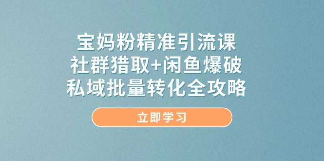 （14820期）宝妈粉精准引流课，社群猎取+闲鱼爆破，私域批量转化全攻略辉睿网创|辉睿学习|辉睿创业|辉睿电商运营|辉睿小红书|辉睿网赚辉睿网创