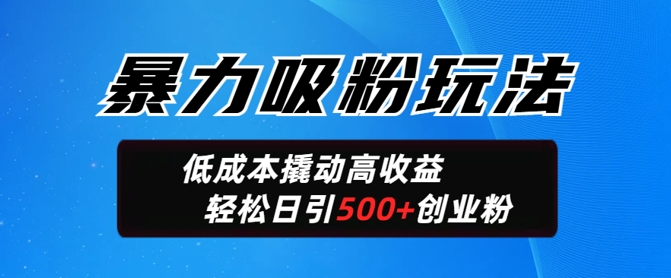 暴力吸粉玩法，日引500+精准创业粉，日变现轻松多张辉睿网创|辉睿学习|辉睿创业|辉睿电商运营|辉睿小红书|辉睿网赚辉睿网创