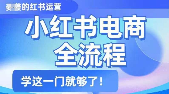 小红书电商全流程，精简易懂，从入门到精通，学这一门就够了辉睿网创|辉睿学习|辉睿创业|辉睿电商运营|辉睿小红书|辉睿网赚辉睿网创