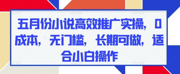五月份小说高效推广实操，0成本，无门槛，长期可做，适合小白操作辉睿网创|辉睿学习|辉睿创业|辉睿电商运营|辉睿小红书|辉睿网赚辉睿网创