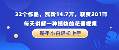 32个作品，涨粉14.7W，获赞201W，每天讲解一种植物的花语视频，无需任何技巧，新手小白轻松上手辉睿网创|辉睿学习|辉睿创业|辉睿电商运营|辉睿小红书|辉睿网赚辉睿网创