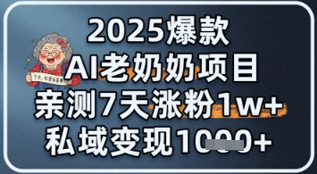 2025爆款 AI 老奶奶项目：亲测 7 天涨粉 1W+，私域变现 1k+辉睿网创|辉睿学习|辉睿创业|辉睿电商运营|辉睿小红书|辉睿网赚辉睿网创