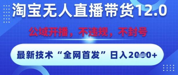 淘宝无人直播带货12.0，最新技术，不封号，不违规，操作简单，开播爆单，日入多张【揭秘】辉睿网创|辉睿学习|辉睿创业|辉睿电商运营|辉睿小红书|辉睿网赚辉睿网创