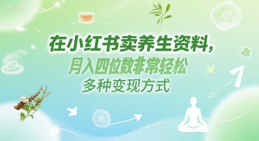 在小红书卖养生资料，月入四位数非常轻松，多种变现方式辉睿网创|辉睿学习|辉睿创业|辉睿电商运营|辉睿小红书|辉睿网赚辉睿网创