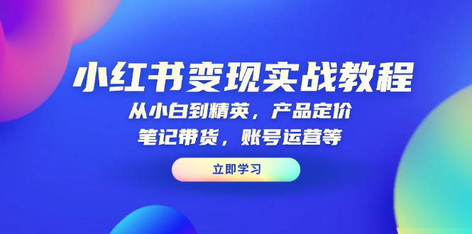 （13923期）小红书变现实战教程：从小白到精英，产品定价，笔记带货，账号运营等辉睿网创|辉睿学习|辉睿创业|辉睿电商运营|辉睿小红书|辉睿网赚辉睿网创