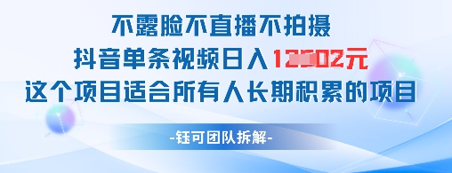 不露脸不直播不拍摄抖音单条视频日入1k+这个项目适合所有人长期积累的项目辉睿网创|辉睿学习|辉睿创业|辉睿电商运营|辉睿小红书|辉睿网赚辉睿网创