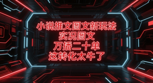 小说推文图文新玩法，实况图文，万播二十单，这转化太牛了！辉睿网创|辉睿学习|辉睿创业|辉睿电商运营|辉睿小红书|辉睿网赚辉睿网创