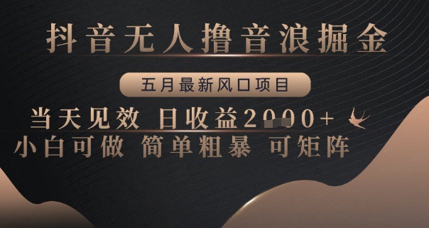 抖音无人撸音浪掘金，五月最新风口项目，当天见效，日收益多张，小白可做简单粗暴可矩阵【揭秘】辉睿网创|辉睿学习|辉睿创业|辉睿电商运营|辉睿小红书|辉睿网赚辉睿网创