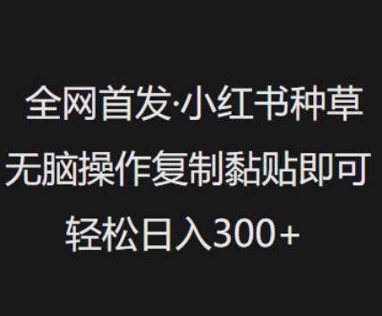全网首发，小红书种草无脑操作，复制黏贴即可，轻松日入3张辉睿网创|辉睿学习|辉睿创业|辉睿电商运营|辉睿小红书|辉睿网赚辉睿网创