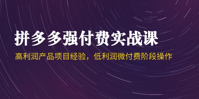 （14874期）拼多多强付费实战课-44期，高利润产品项目经验，低利润微付费阶段操作辉睿网创|辉睿学习|辉睿创业|辉睿电商运营|辉睿小红书|辉睿网赚辉睿网创