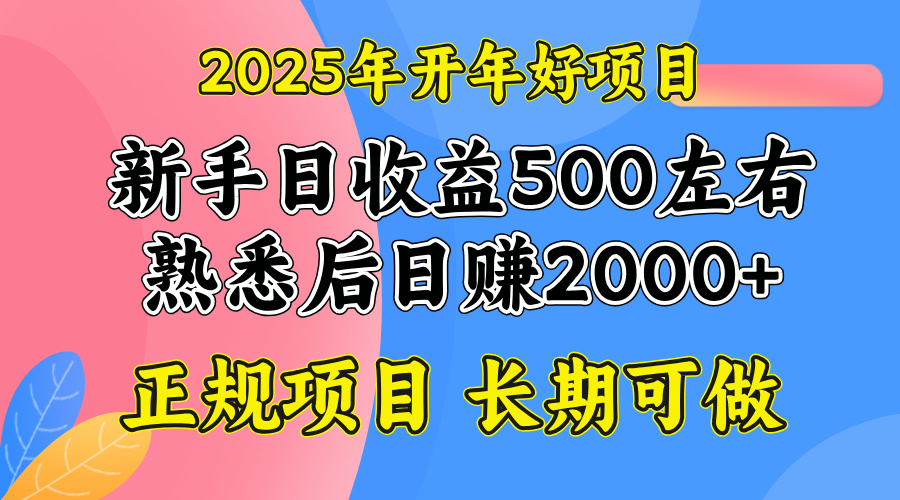 （14076期）2025开年好项目，单号日收益2000左右辉睿网创|辉睿学习|辉睿创业|辉睿电商运营|辉睿小红书|辉睿网赚辉睿网创