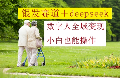 银发赛道+deepseek数字人全域变现，小白也能操作辉睿网创|辉睿学习|辉睿创业|辉睿电商运营|辉睿小红书|辉睿网赚辉睿网创