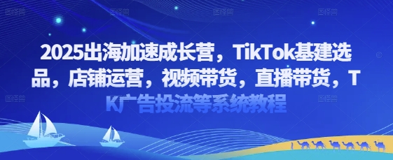 2025出海加速成长营，TikTok基建选品，店铺运营，视频带货，直播带货，TK广告投流等系统教程辉睿网创|辉睿学习|辉睿创业|辉睿电商运营|辉睿小红书|辉睿网赚辉睿网创