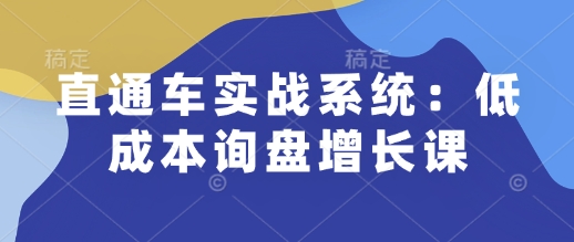 直通车实战系统：低成本询盘增长课，让个人通过技能实现升职加薪，让企业低成本获客，订单源源不断辉睿网创|辉睿学习|辉睿创业|辉睿电商运营|辉睿小红书|辉睿网赚辉睿网创