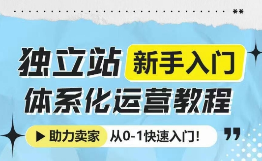 独立站新手入门体系化运营教程，助力独立站卖家从0-1快速入门!辉睿网创|辉睿学习|辉睿创业|辉睿电商运营|辉睿小红书|辉睿网赚辉睿网创