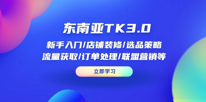 （14208期）东南亚TK3.0：新手入门/店铺装修/选品策略/流量获取/订单处理/联盟营销等辉睿网创|辉睿学习|辉睿创业|辉睿电商运营|辉睿小红书|辉睿网赚辉睿网创