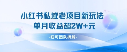 小红书私域项目新玩法，单月变现过W+辉睿网创|辉睿学习|辉睿创业|辉睿电商运营|辉睿小红书|辉睿网赚辉睿网创