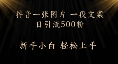 每天2分钟，抖音一张图片 一段文案日引流500粉辉睿网创|辉睿学习|辉睿创业|辉睿电商运营|辉睿小红书|辉睿网赚辉睿网创