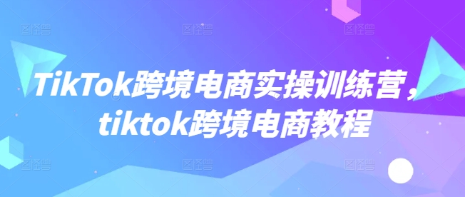 TikTok跨境电商实操训练营，tiktok跨境电商教程辉睿网创|辉睿学习|辉睿创业|辉睿电商运营|辉睿小红书|辉睿网赚辉睿网创