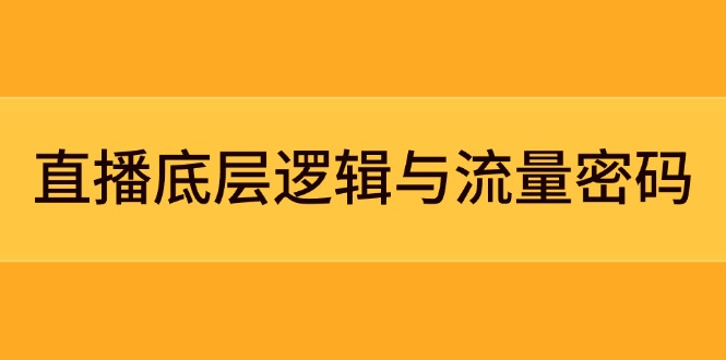 （14695期）直播底层逻辑与流量密码：定位模型+案例拆解，急速流承接与数据优化全攻略辉睿网创|辉睿学习|辉睿创业|辉睿电商运营|辉睿小红书|辉睿网赚辉睿网创