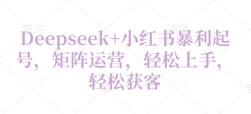 Deepseek+小红书暴利起号，矩阵运营，轻松上手，轻松获客辉睿网创|辉睿学习|辉睿创业|辉睿电商运营|辉睿小红书|辉睿网赚辉睿网创
