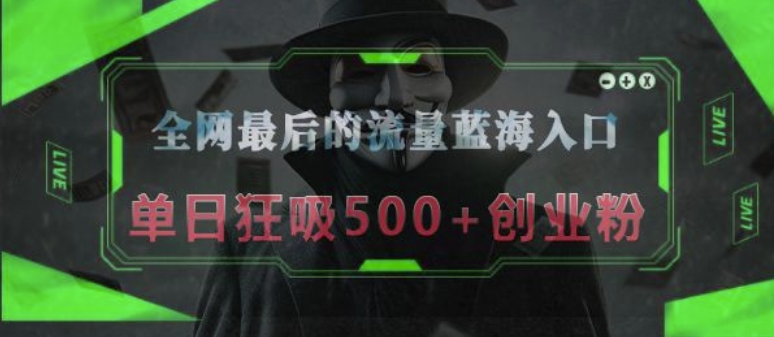 全网最后的流量蓝海入口，半小时引流50+创业粉，单日狂吸500+创业粉辉睿网创|辉睿学习|辉睿创业|辉睿电商运营|辉睿小红书|辉睿网赚辉睿网创