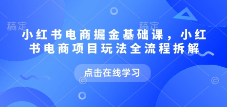 小红书电商掘金课，小红书电商项目玩法全流程拆解辉睿网创|辉睿学习|辉睿创业|辉睿电商运营|辉睿小红书|辉睿网赚辉睿网创