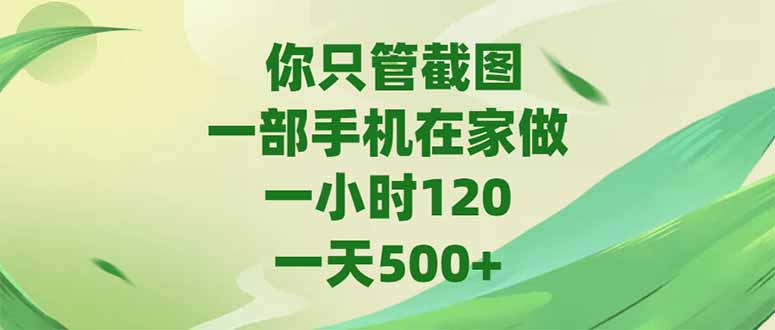 （15039期）你只管截图，一部手机在家做，一小时120，-天500+辉睿网创|辉睿学习|辉睿创业|辉睿电商运营|辉睿小红书|辉睿网赚辉睿网创