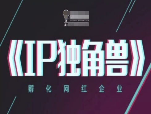 IP独角兽，孵化网红企业，ip教程辉睿网创|辉睿学习|辉睿创业|辉睿电商运营|辉睿小红书|辉睿网赚辉睿网创