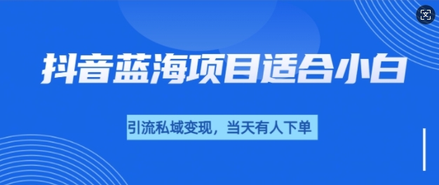 抖音蓝海小赛道私域变现项目，单价9.9单天变现100+，实操玩法分享给你辉睿网创|辉睿学习|辉睿创业|辉睿电商运营|辉睿小红书|辉睿网赚辉睿网创