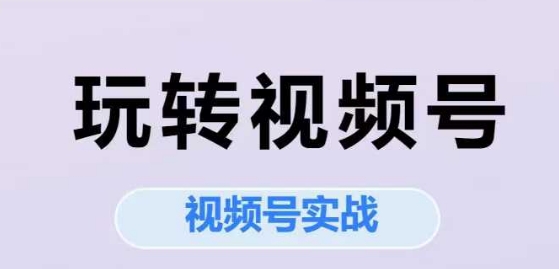 玩转视频号，视频号实战系列课辉睿网创|辉睿学习|辉睿创业|辉睿电商运营|辉睿小红书|辉睿网赚辉睿网创