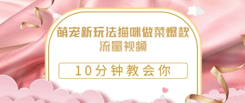 萌宠新玩法猫咪做菜爆款流量视频，10分钟教会你辉睿网创|辉睿学习|辉睿创业|辉睿电商运营|辉睿小红书|辉睿网赚辉睿网创
