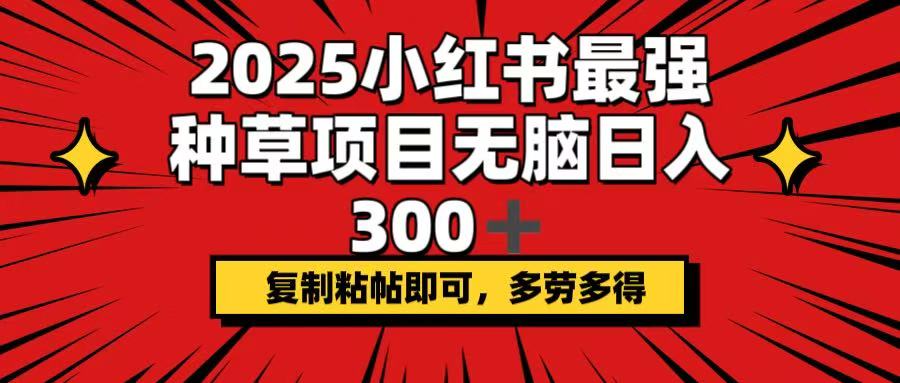 （14375期）2025小红书最强种草项目，无脑日入300+，复制粘帖即可，多劳多得辉睿网创|辉睿学习|辉睿创业|辉睿电商运营|辉睿小红书|辉睿网赚辉睿网创