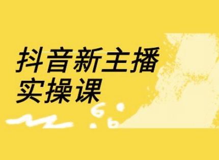 抖音新主播实操课，直播间流量运营线上实操课(18节)辉睿网创|辉睿学习|辉睿创业|辉睿电商运营|辉睿小红书|辉睿网赚辉睿网创