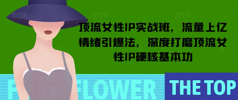 顶流女性IP实战班，流量上亿情绪引爆法，深度打磨顶流女性IP硬核基本功辉睿网创|辉睿学习|辉睿创业|辉睿电商运营|辉睿小红书|辉睿网赚辉睿网创