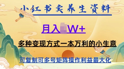 在小红书上卖养生资料，月入1w+，多种变现方式一本万利的小生意辉睿网创|辉睿学习|辉睿创业|辉睿电商运营|辉睿小红书|辉睿网赚辉睿网创