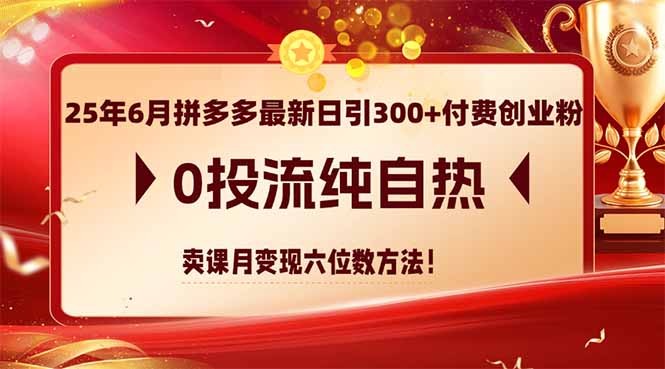 （14989期）25年6月拼多多最新日引300+付费创业粉，0投流纯自热 卖课月变现六位数方法辉睿网创|辉睿学习|辉睿创业|辉睿电商运营|辉睿小红书|辉睿网赚辉睿网创