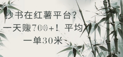 抄书在小红薯平台？平均一单30米，一天收益几张！辉睿网创|辉睿学习|辉睿创业|辉睿电商运营|辉睿小红书|辉睿网赚辉睿网创