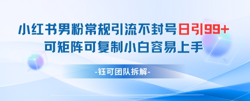 小红书男粉常规引流不封号日引99+变现简单 可矩阵可复制小白容易上手辉睿网创|辉睿学习|辉睿创业|辉睿电商运营|辉睿小红书|辉睿网赚辉睿网创