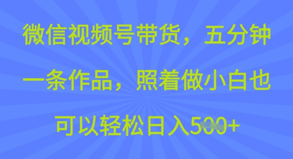 微信视频号带货，五分钟一条作品，照着做小白也可以轻松日入5张辉睿网创|辉睿学习|辉睿创业|辉睿电商运营|辉睿小红书|辉睿网赚辉睿网创
