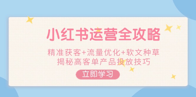 （14207期）小红书运营全攻略，精准获客+流量优化+软文种草，揭秘高客单产品投放技巧辉睿网创|辉睿学习|辉睿创业|辉睿电商运营|辉睿小红书|辉睿网赚辉睿网创