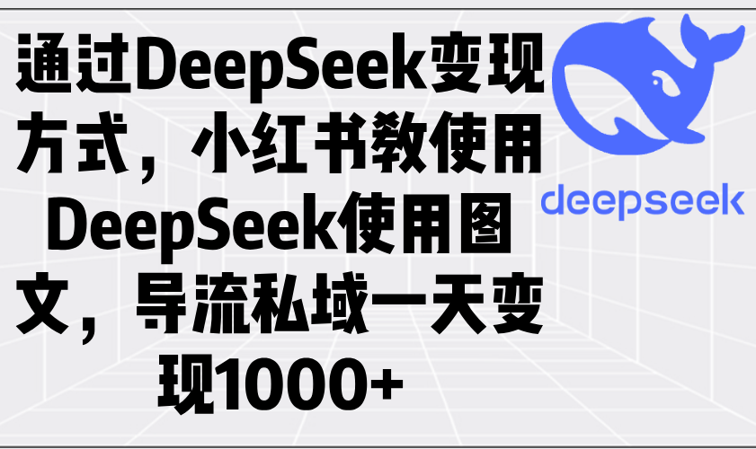 （14179期）通过DeepSeek变现方式，小红书教使用DeepSeek图文，导流私域一天变现1000+辉睿网创|辉睿学习|辉睿创业|辉睿电商运营|辉睿小红书|辉睿网赚辉睿网创